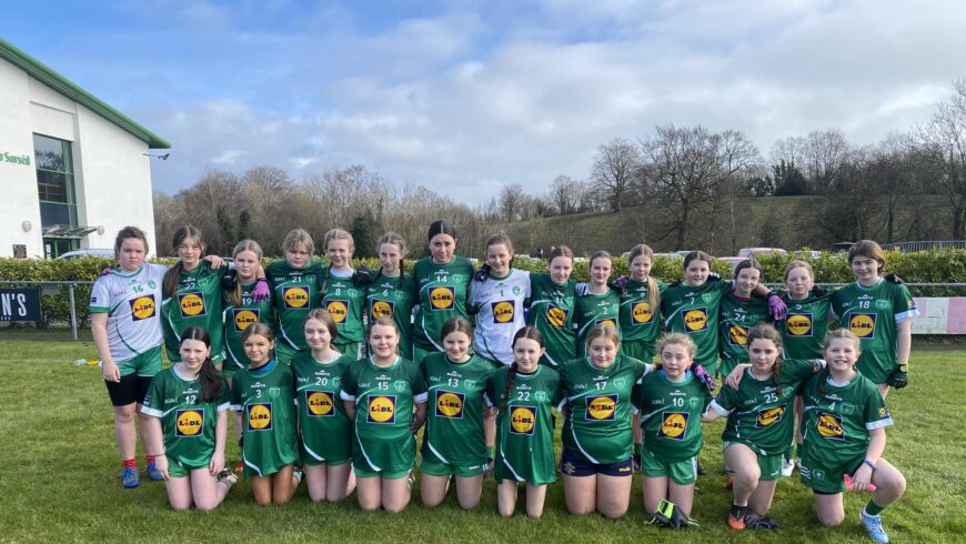 League defeat for Drumragh U14 girls