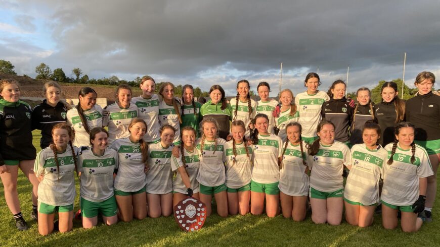 Club notes – June 11 | Nótaí club – 11 Meitheamh