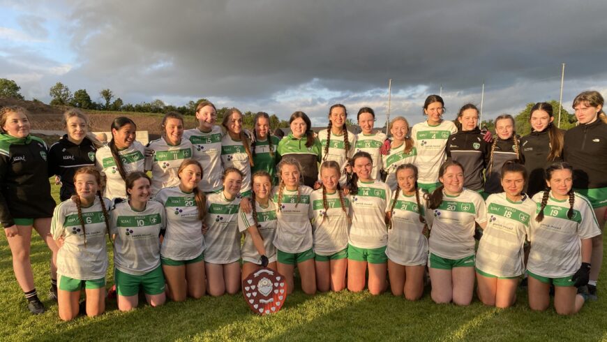 Drumragh minor girls win league