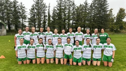 Championship win for Drumragh senior ladies